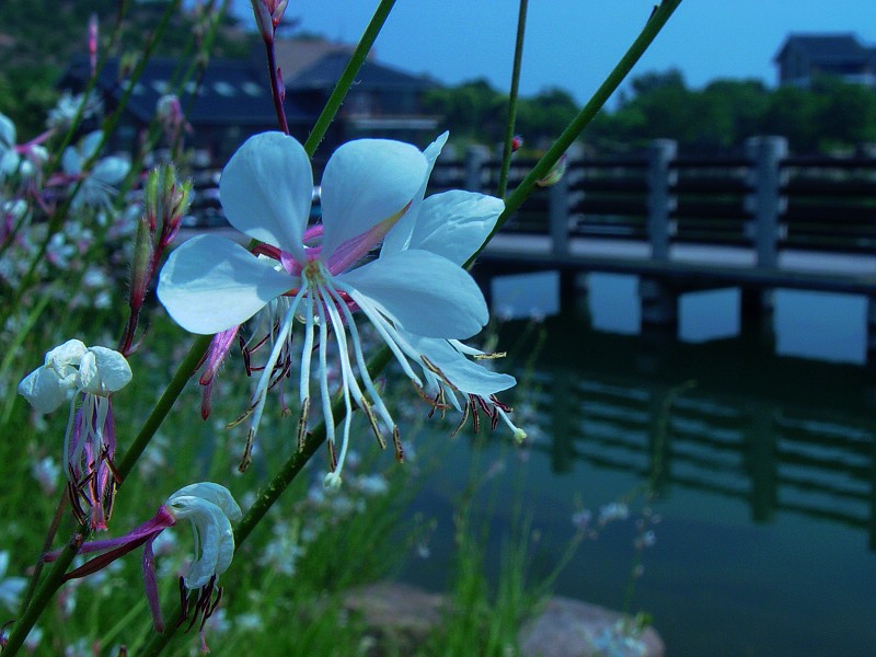DSC02005.0.jpg