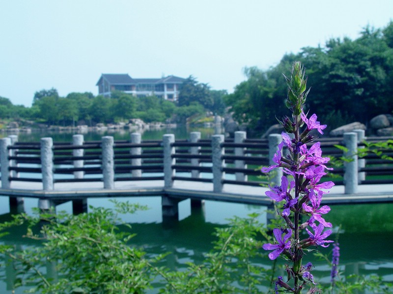 DSC02002.0.jpg