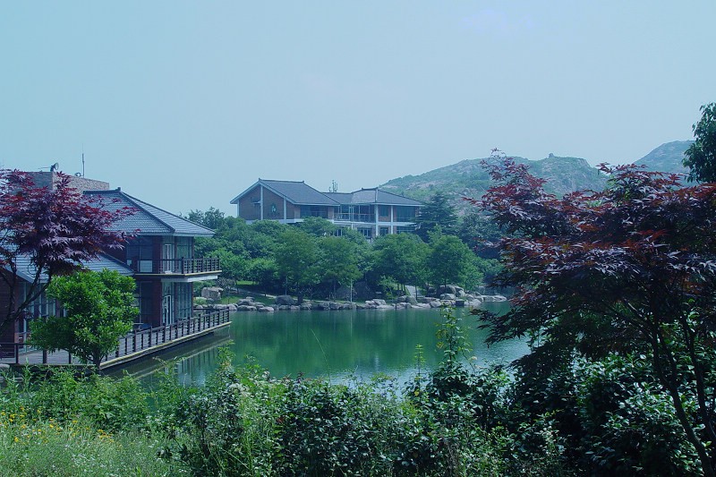 DSC02062.0.jpg