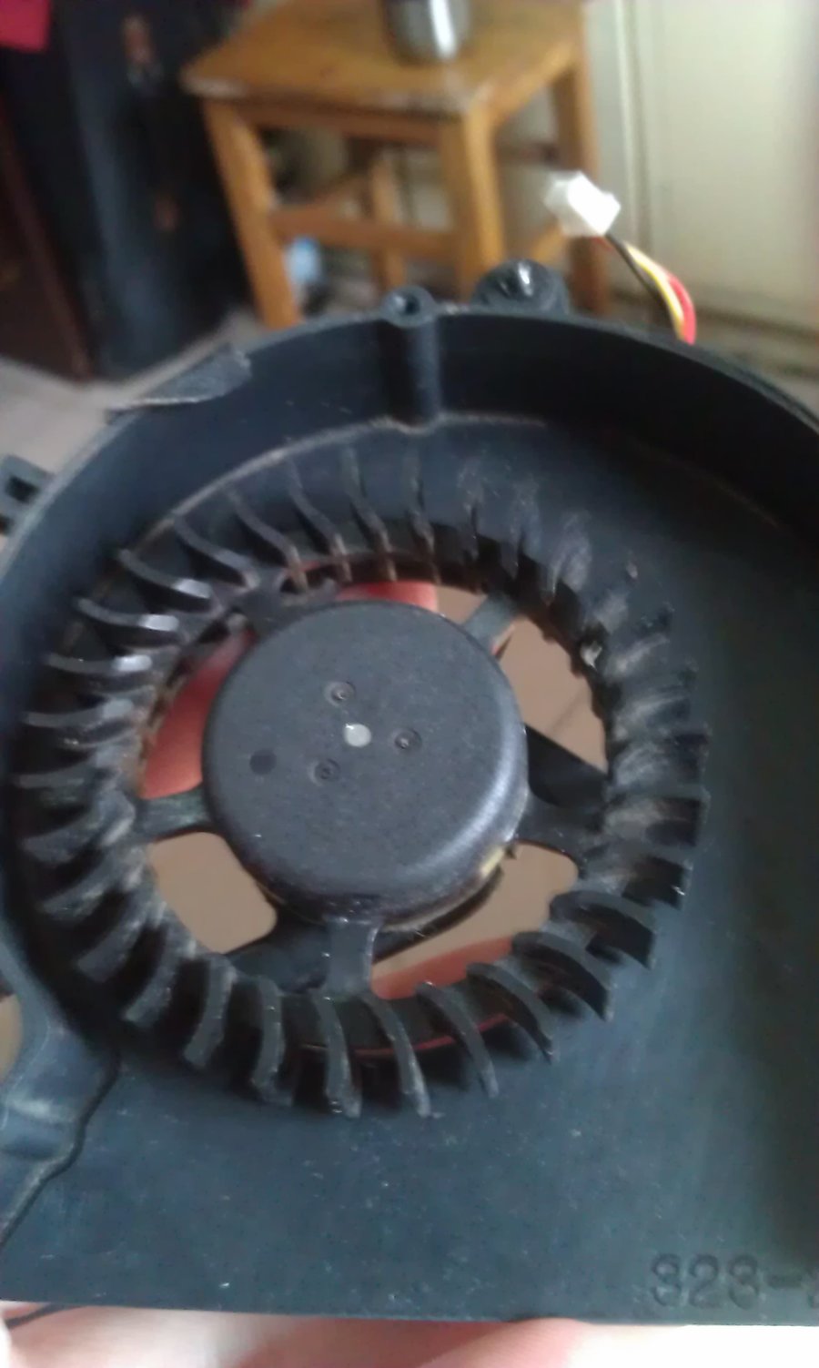 IMAG0079.jpg