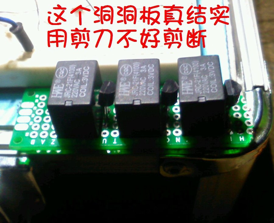 2013308.jpg
