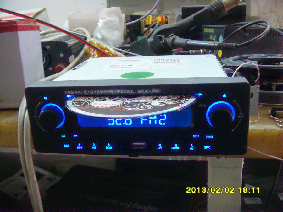 SNV300151.jpg