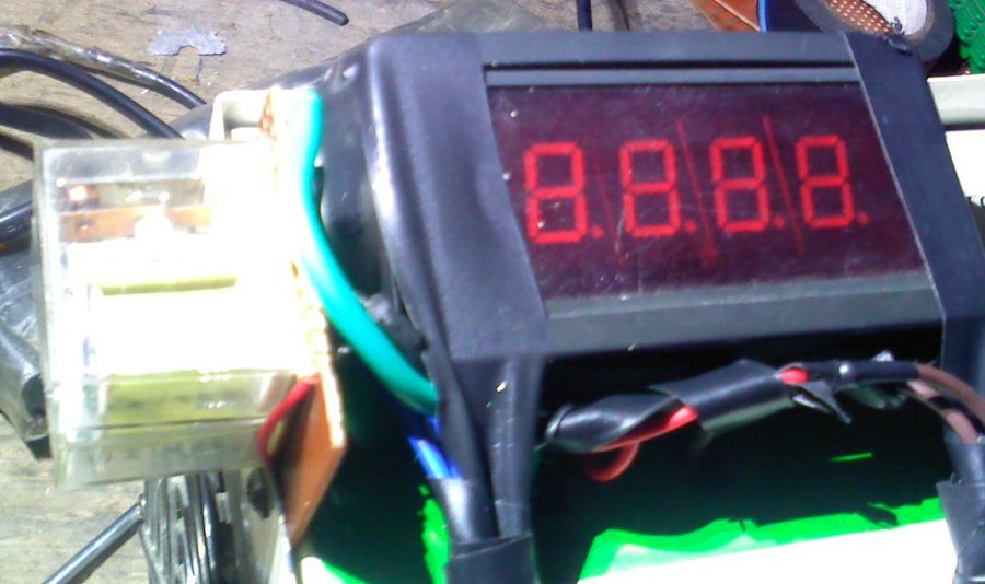 2013354.jpg
