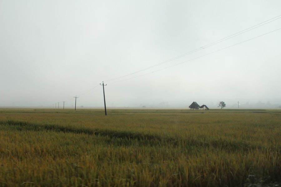 调整大小 IMG_8276.JPG