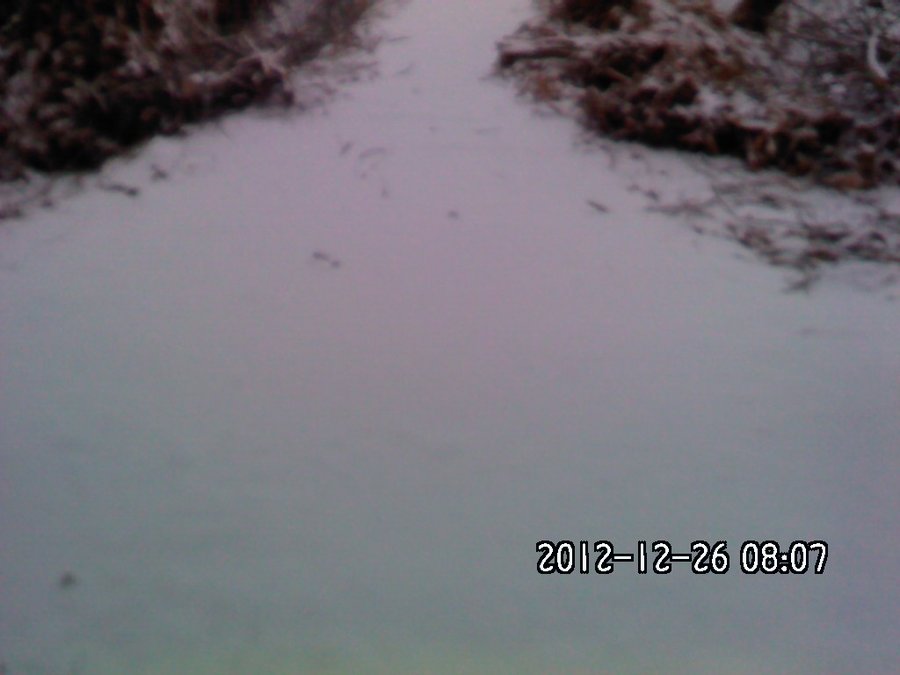 2012297.jpg