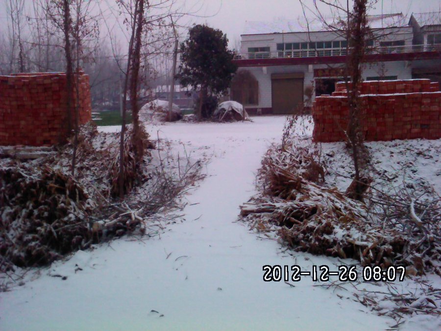 2012298.jpg