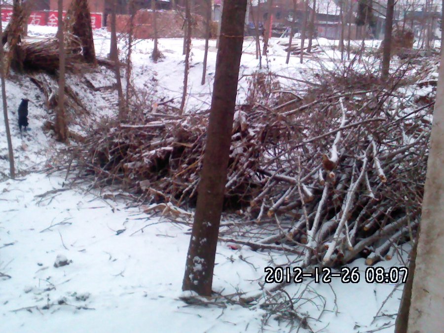 2012299.jpg