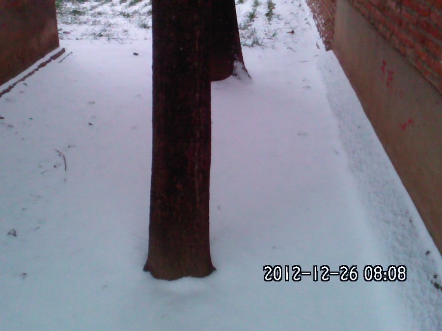 2012300.jpg