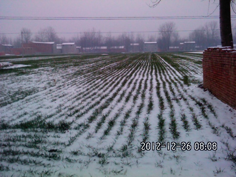 2012301.jpg