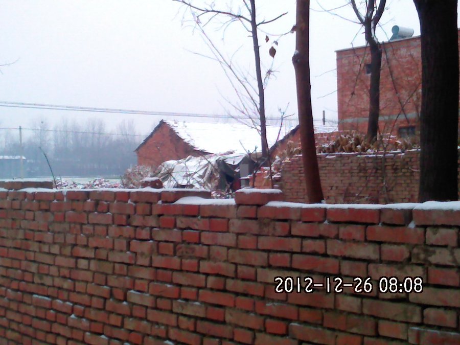 2012302.jpg