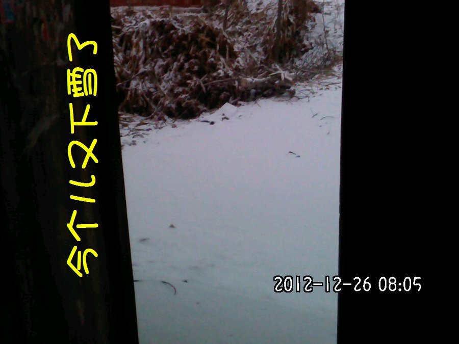2012296.jpg