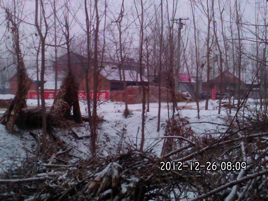 2012303.jpg