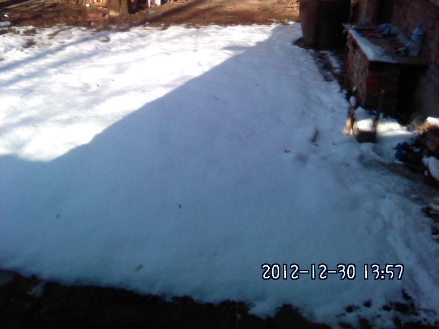 2012403.jpg