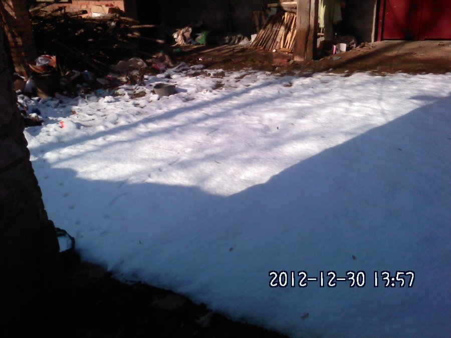 2012404.jpg