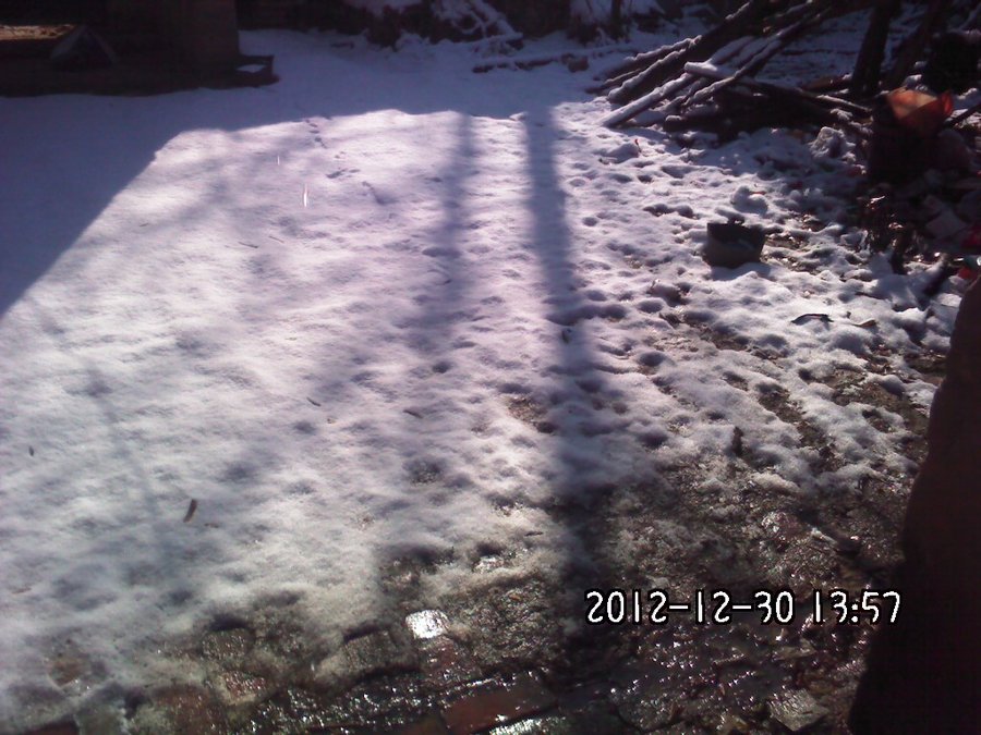 2012405.jpg