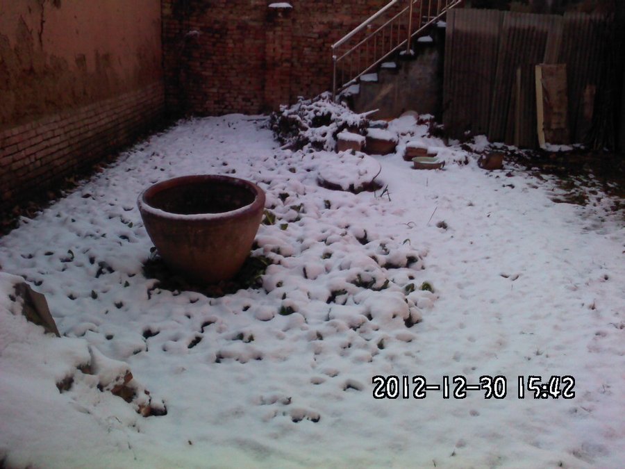 2012418.jpg