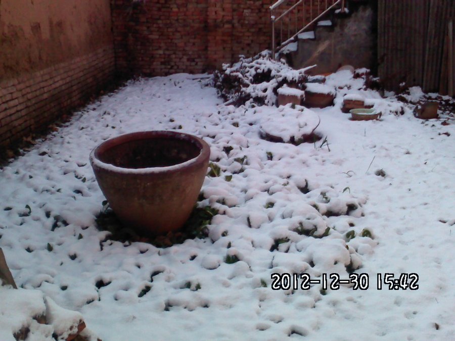 2012419.jpg