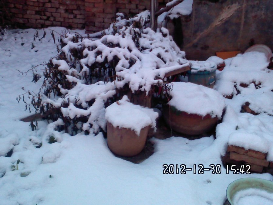 2012420.jpg