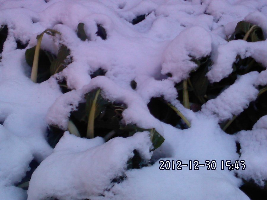 2012422.jpg