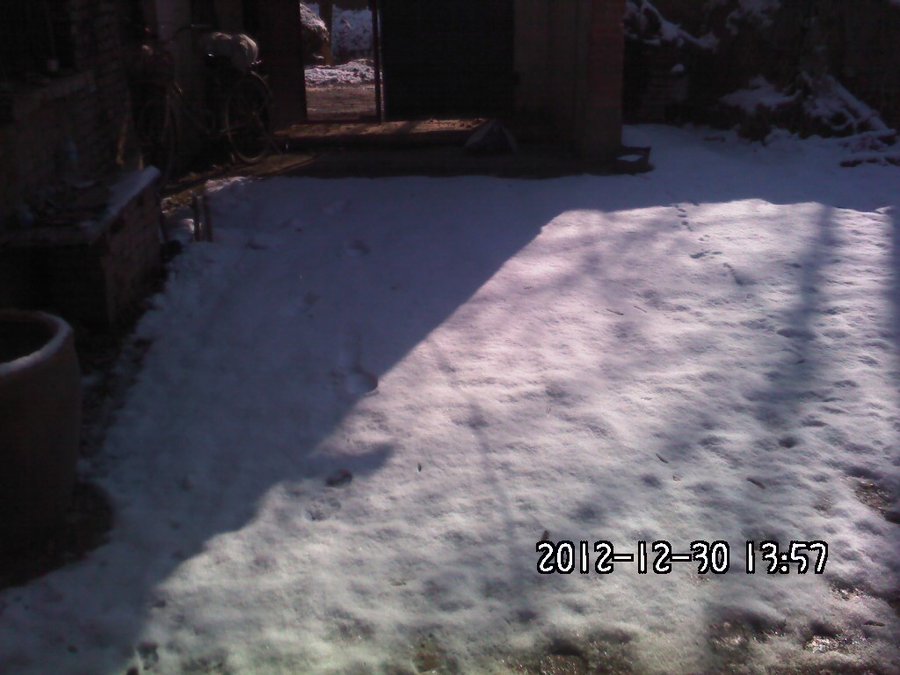 2012406.jpg