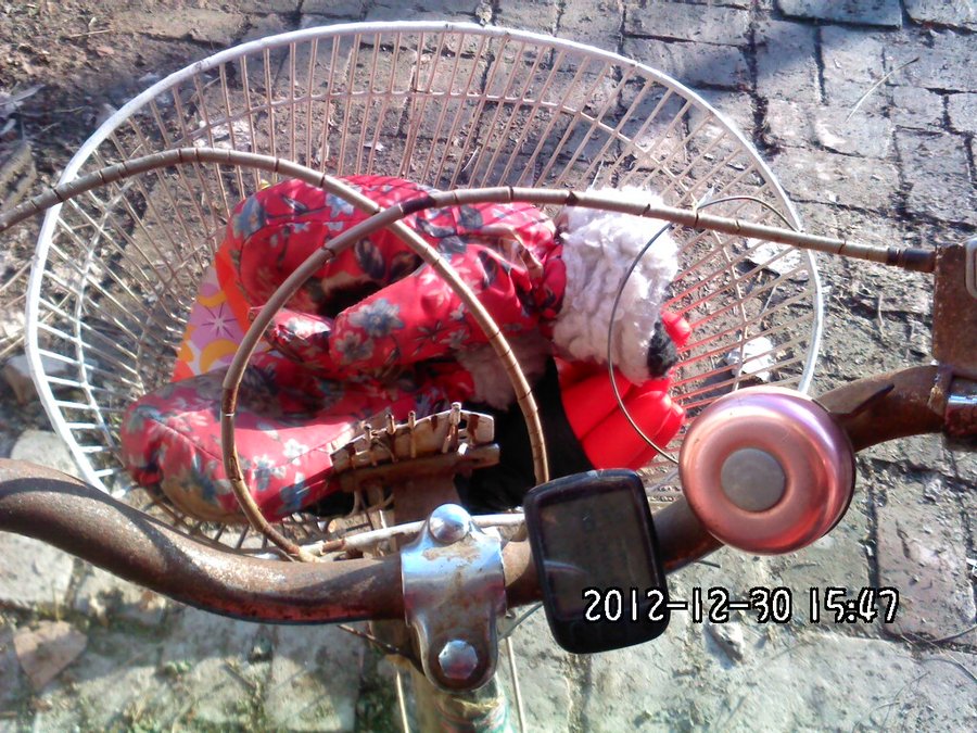 2012427.jpg