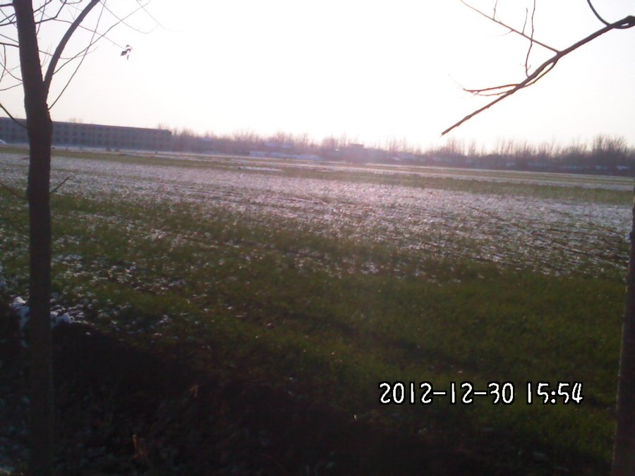 2012430.jpg