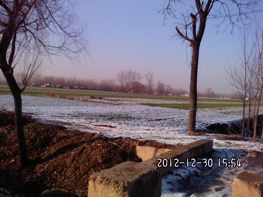 2012431.jpg