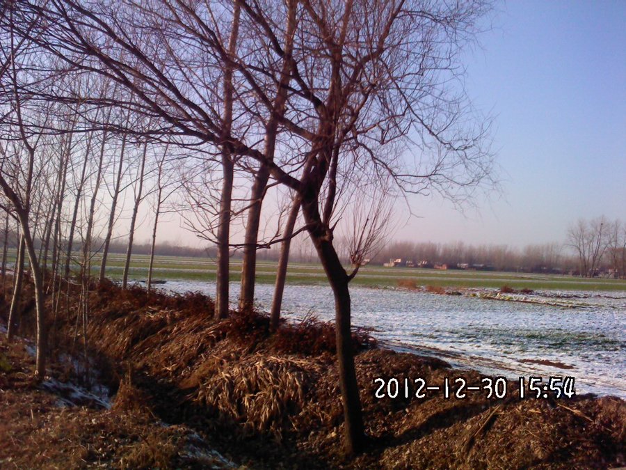 2012432.jpg