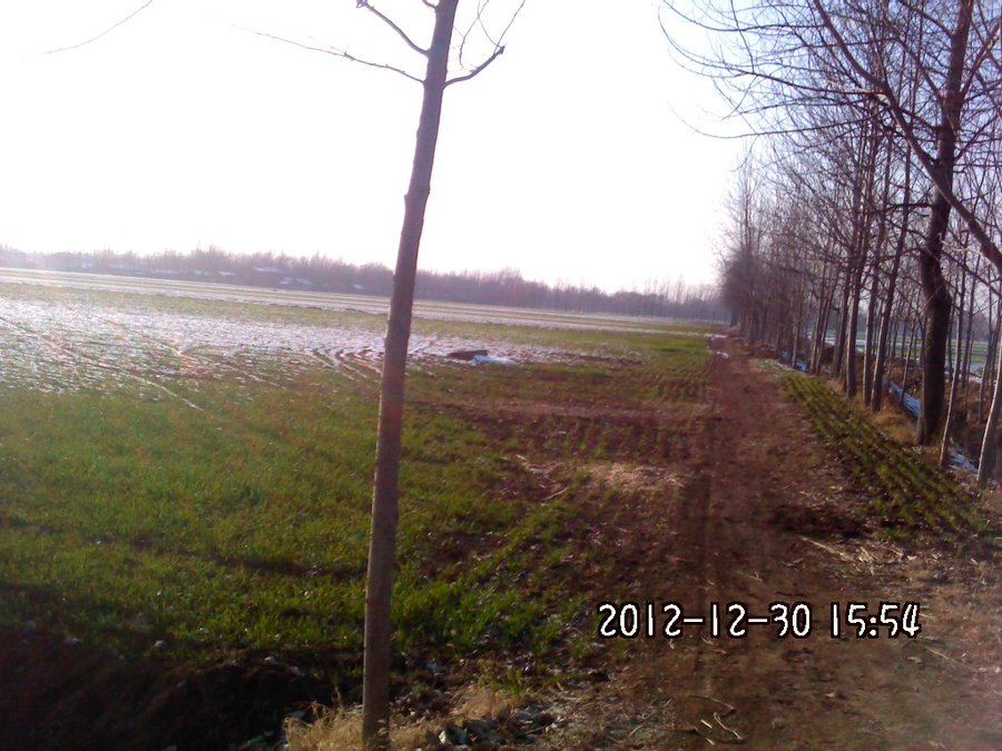 2012433.jpg