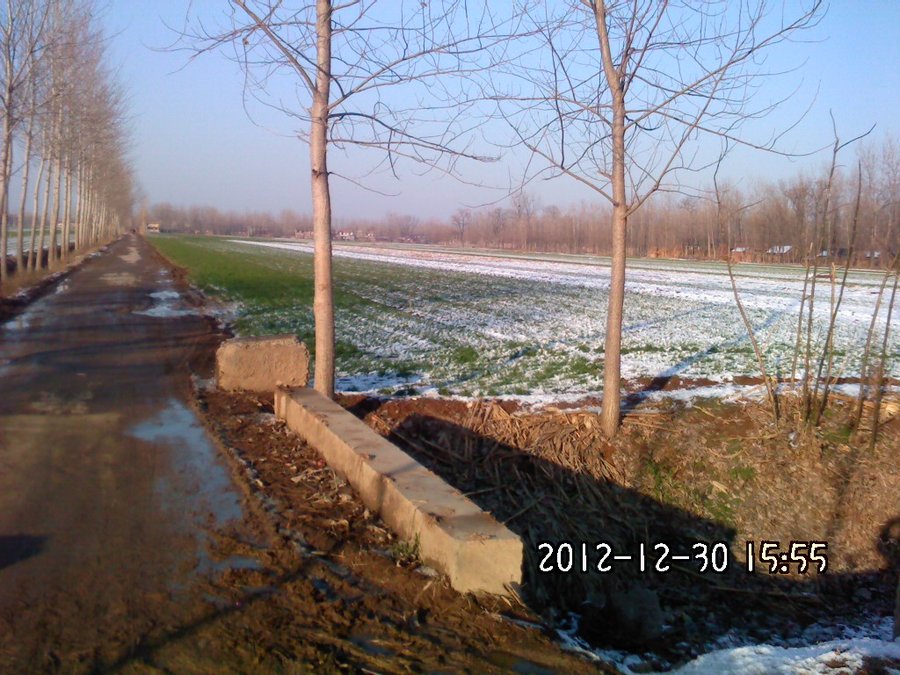 2012434.jpg