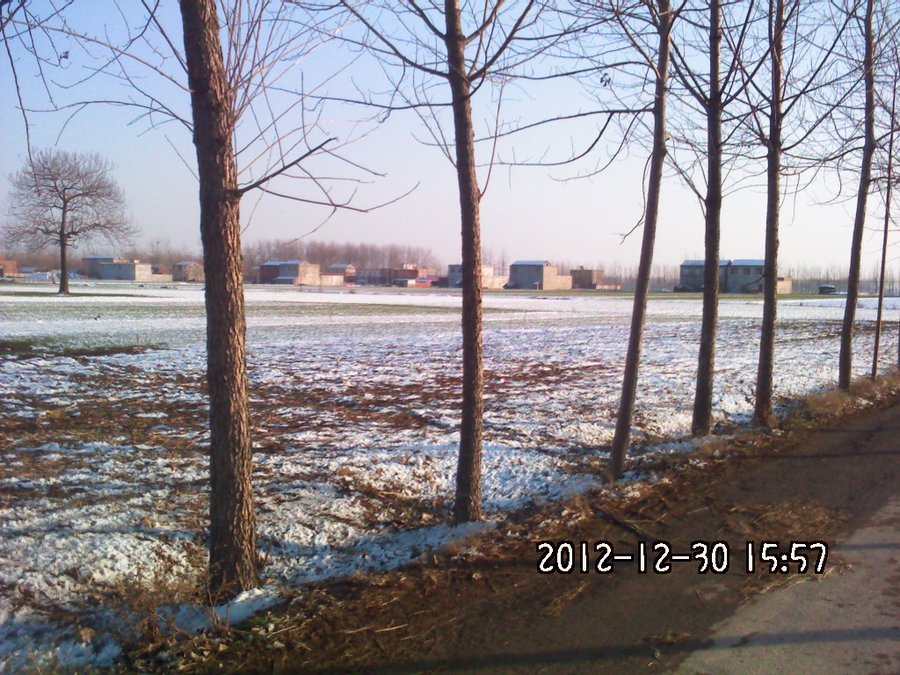 2012436.jpg