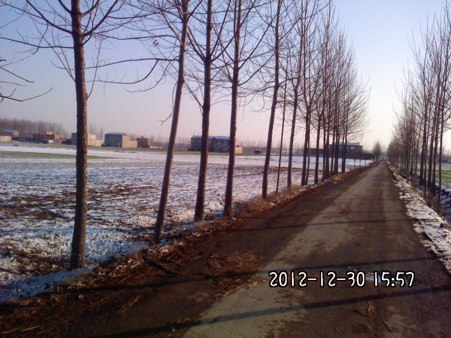 2012437.jpg