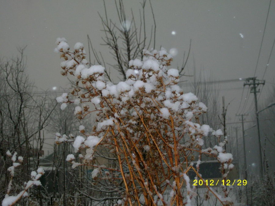 SANY0279.JPG