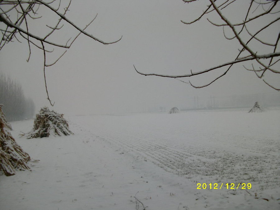 SANY0276.JPG
