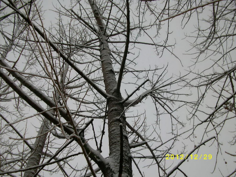 SANY0277.JPG