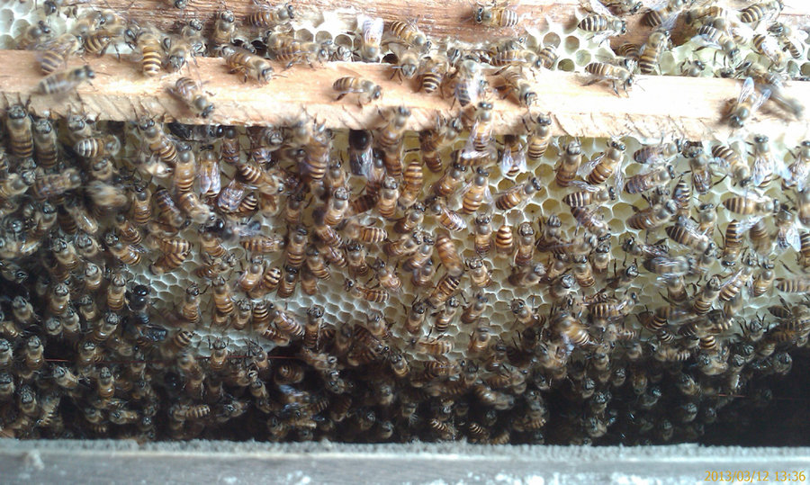 201303121336_015.jpg