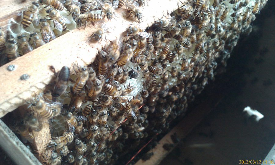 201303121336_016.jpg