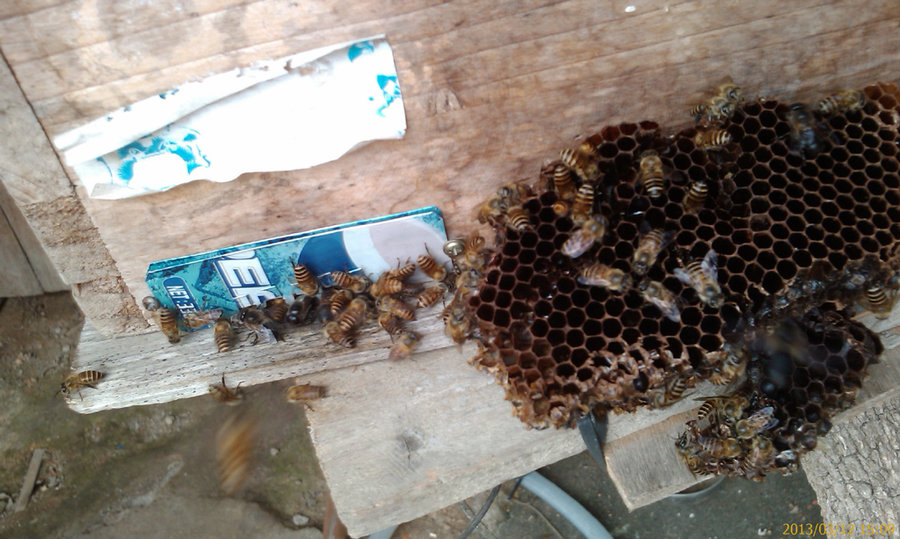 201303121509_017.jpg