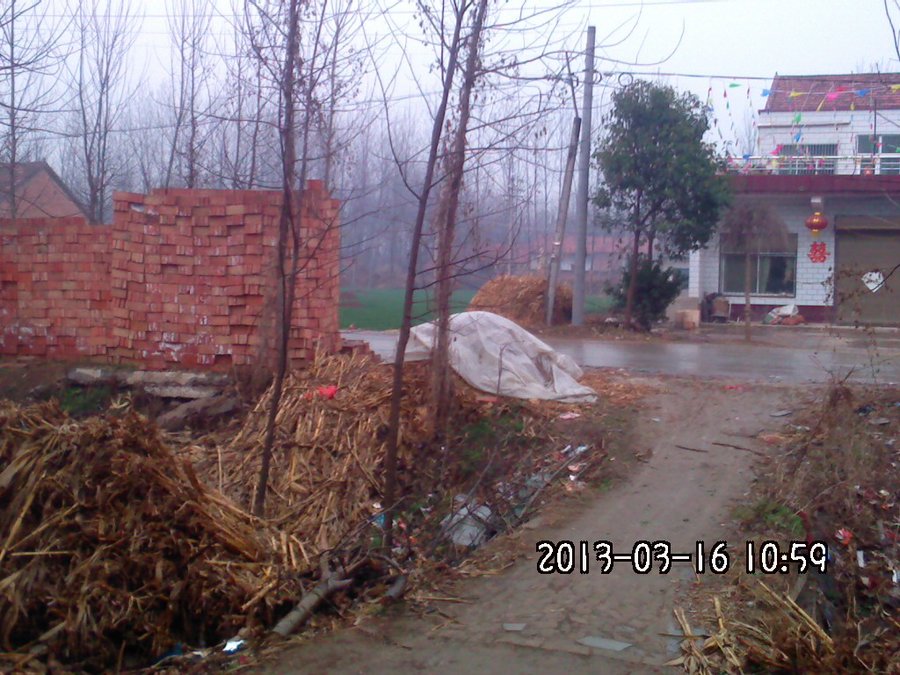 2013483.jpg