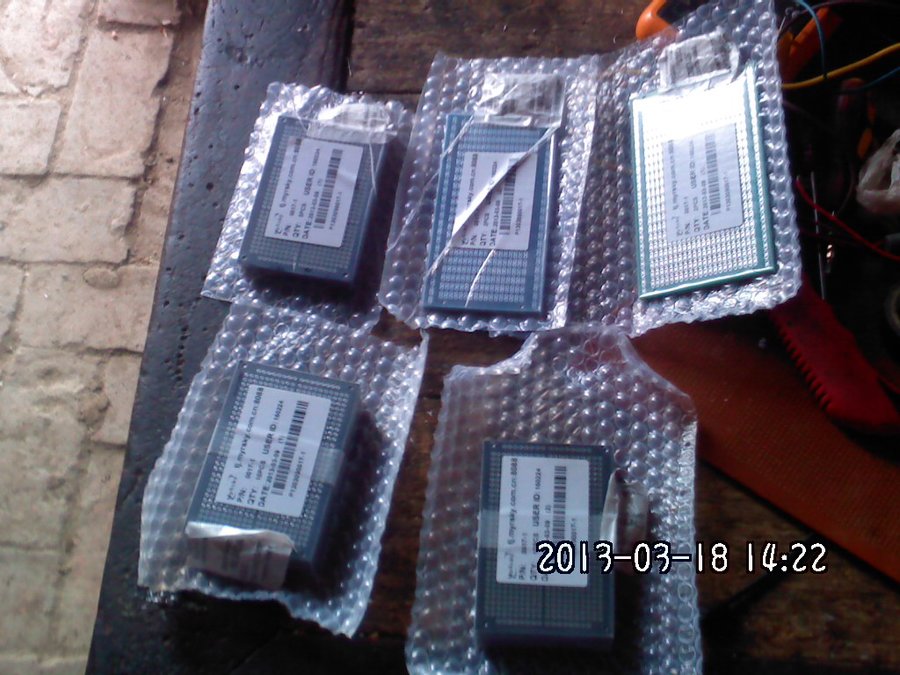 2013495.jpg