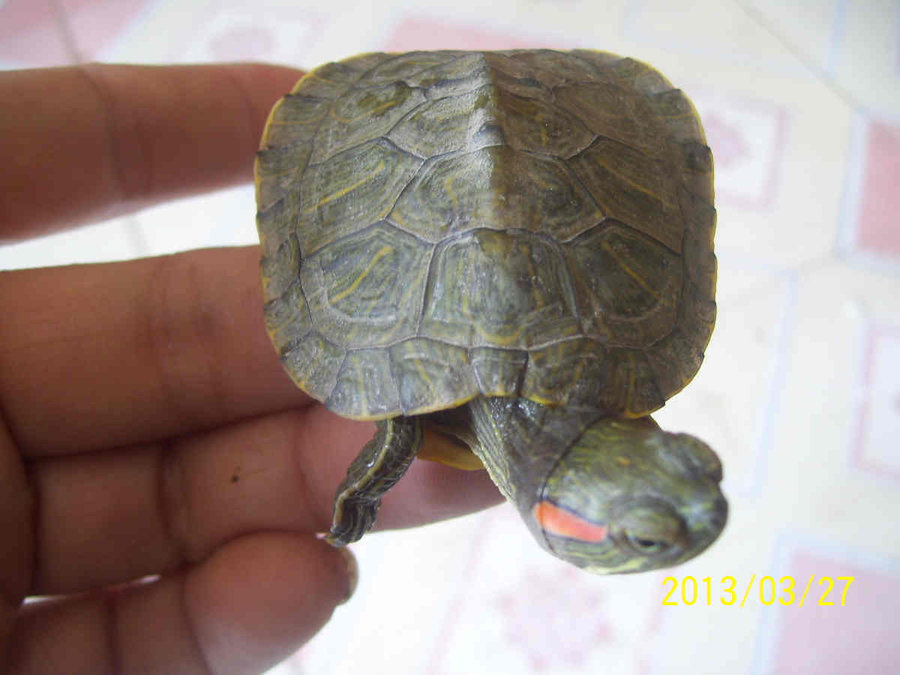 照片 6346.jpg