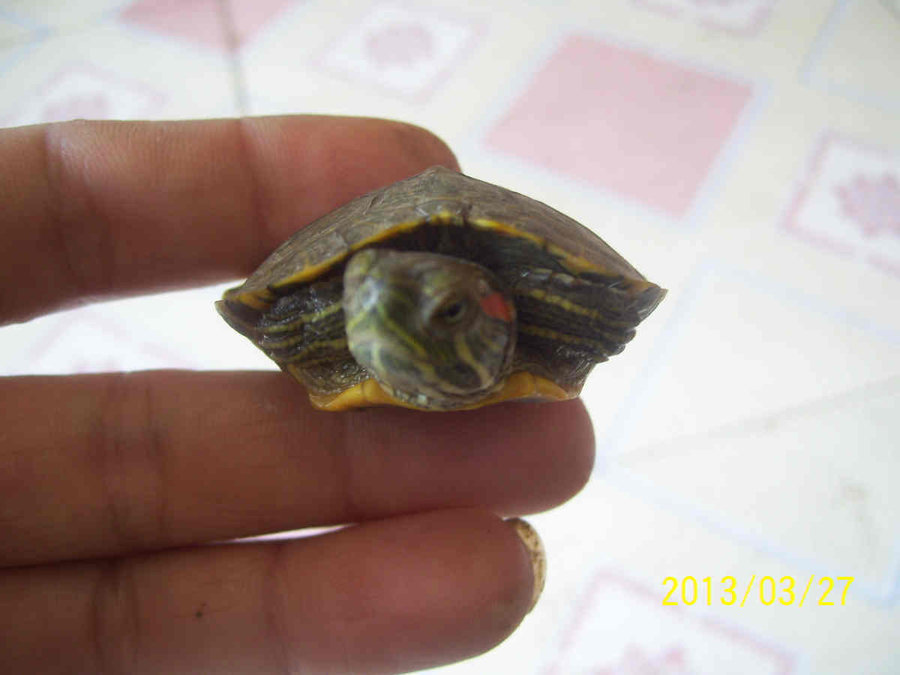 照片 6347.jpg