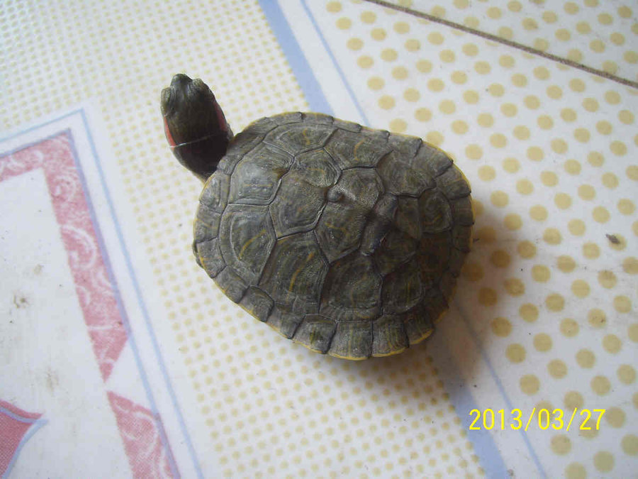 照片 6349.jpg