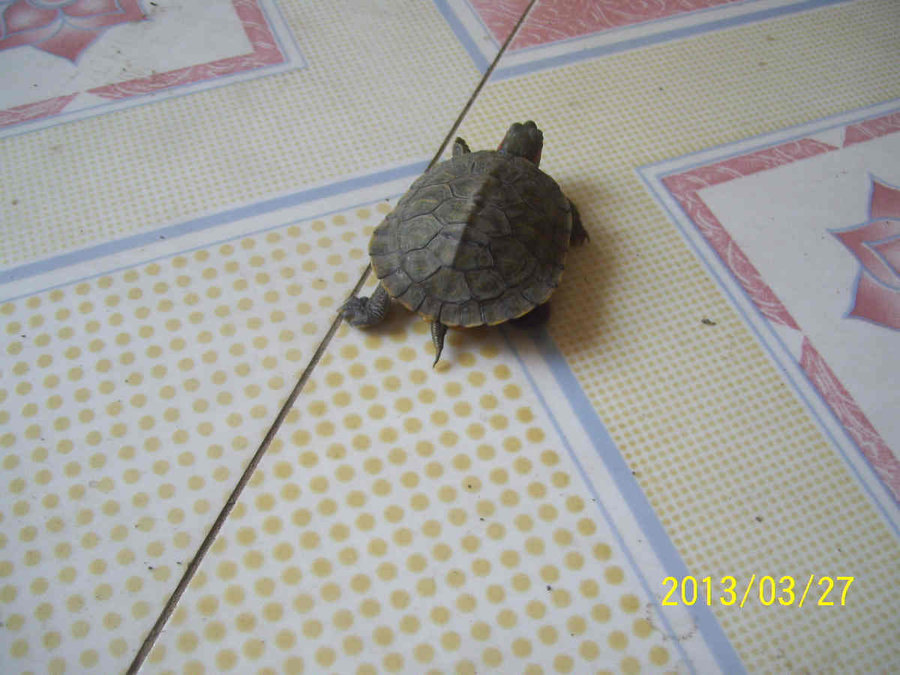 照片 6351.jpg
