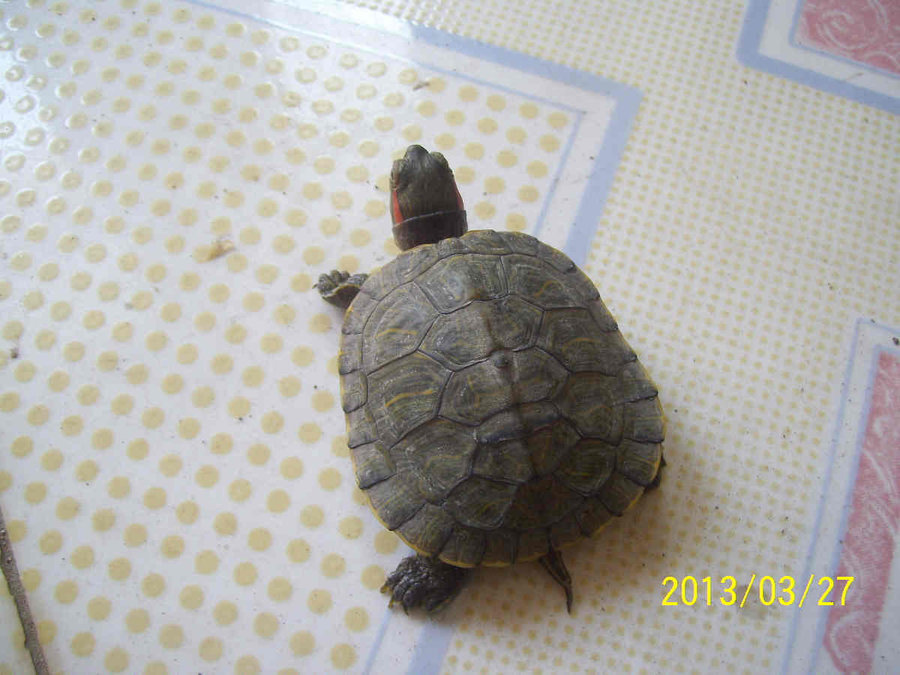 照片 6352.jpg