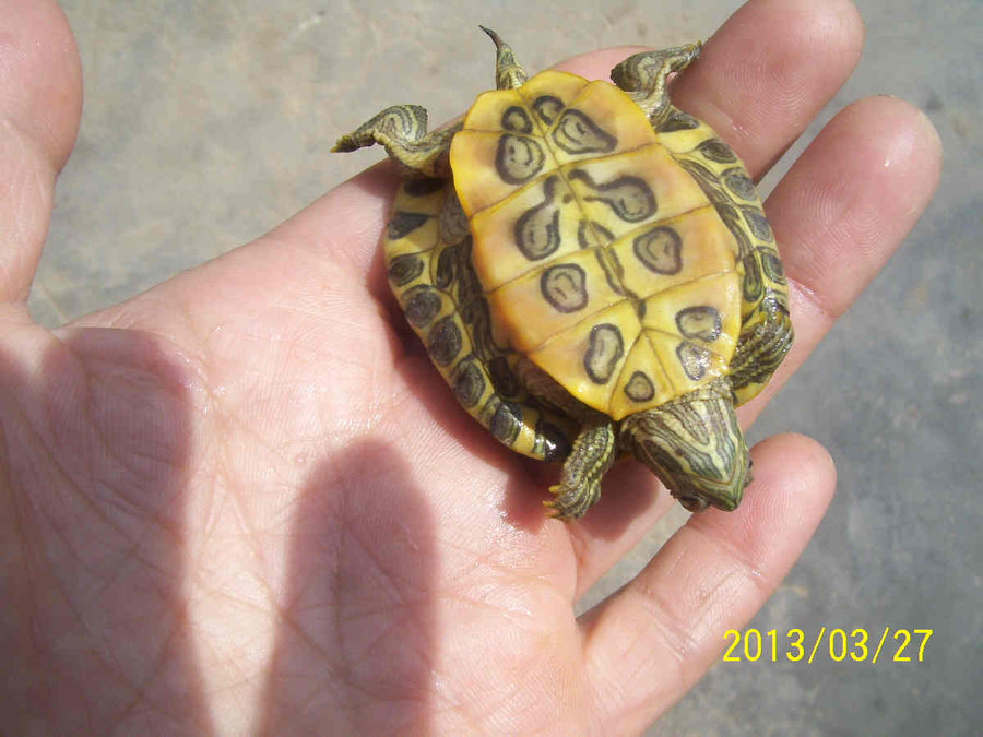照片 6343.jpg