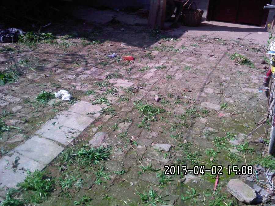 2013890.jpg