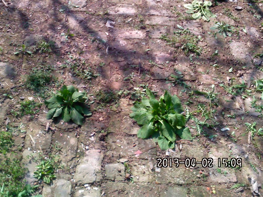 2013892.jpg