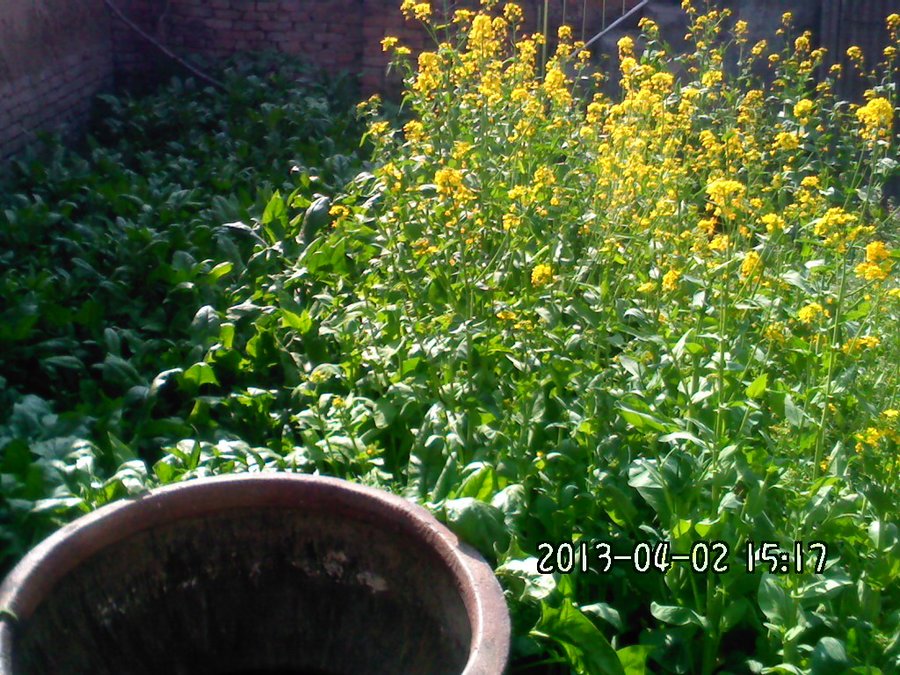 2013898.jpg