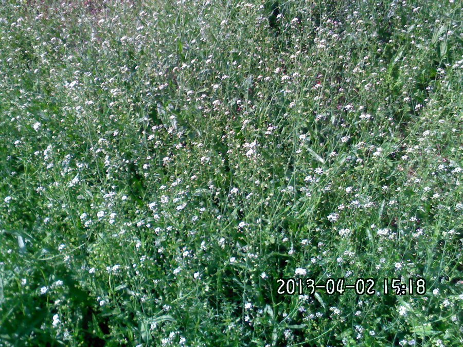 2013901.jpg